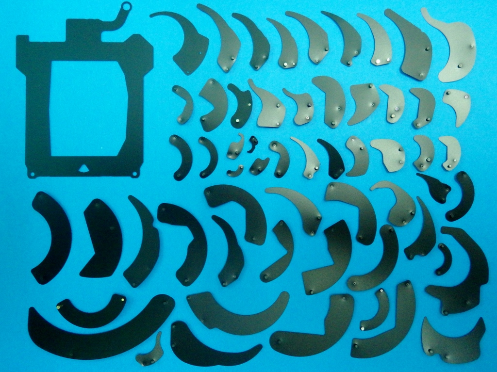 �J�����p�i��H��